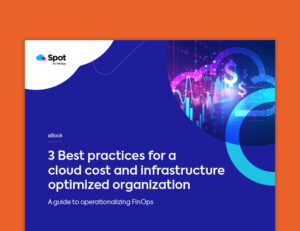 3 Best Practices for a Cloud Cost and Infrastructure Optimized Organization