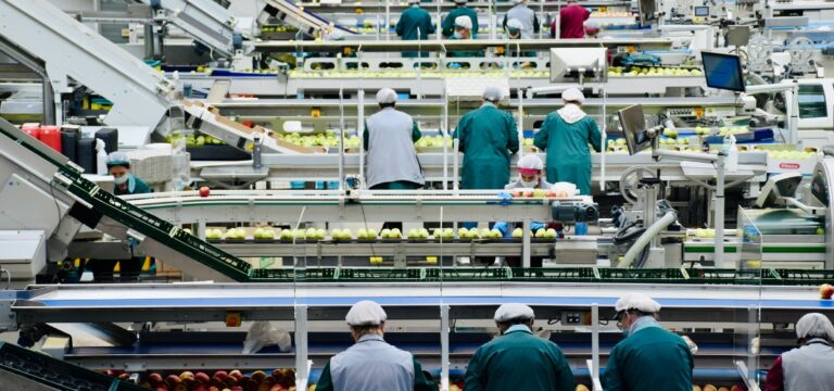 Bridging the Gap: IT/OT Integration in the Food and Beverage Industry 